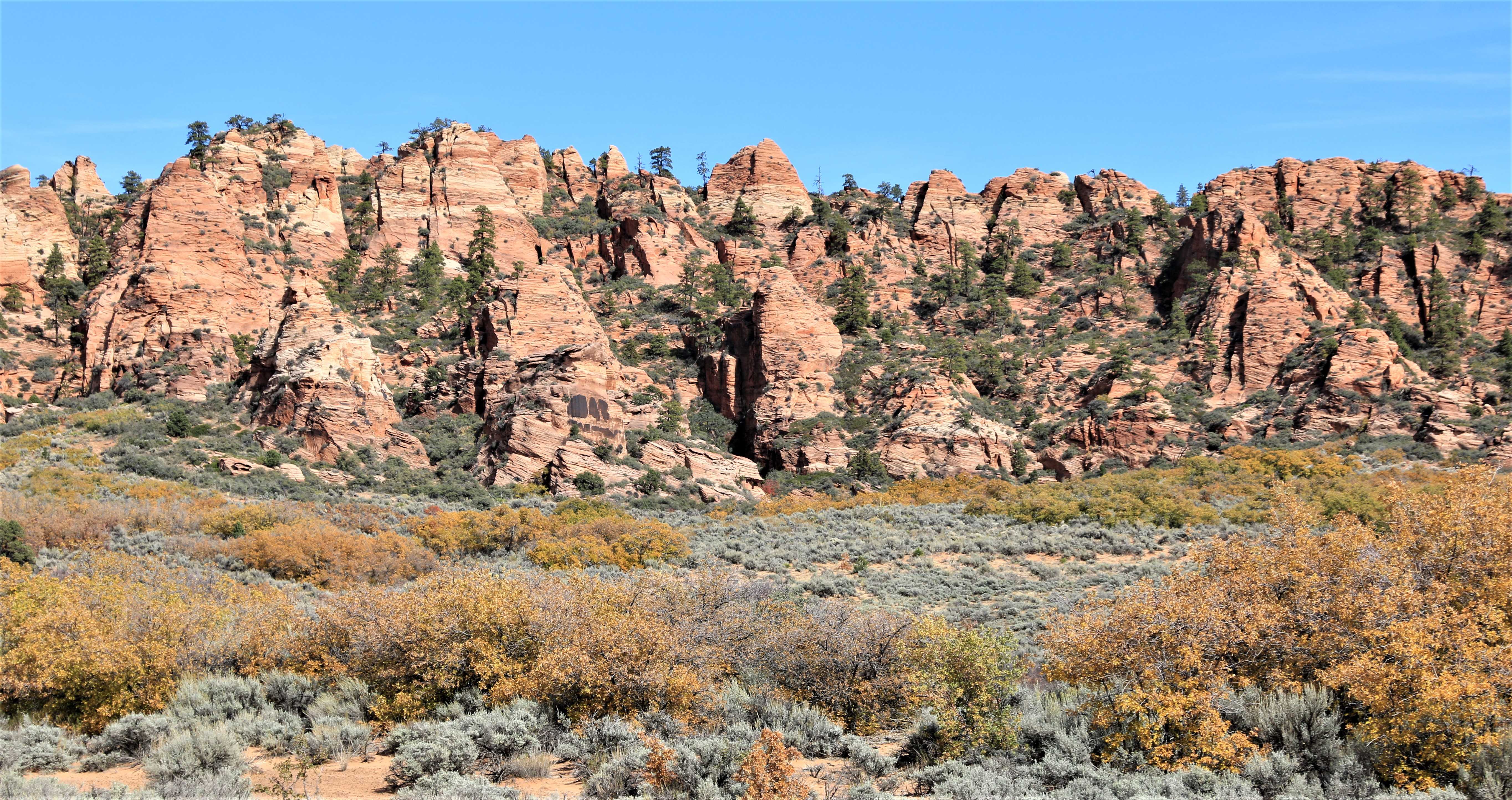 Zion NP